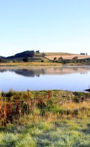 BreamLake