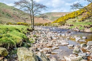 River Breamish