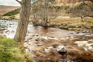 River Breamish winter