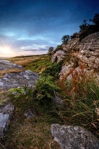 Sunset Whittingham portrait warm