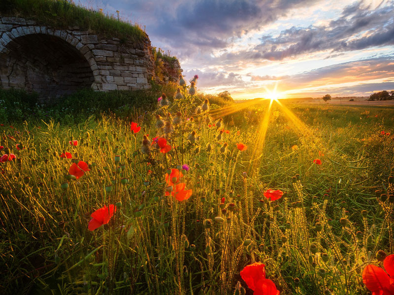 Lime kiln sunset