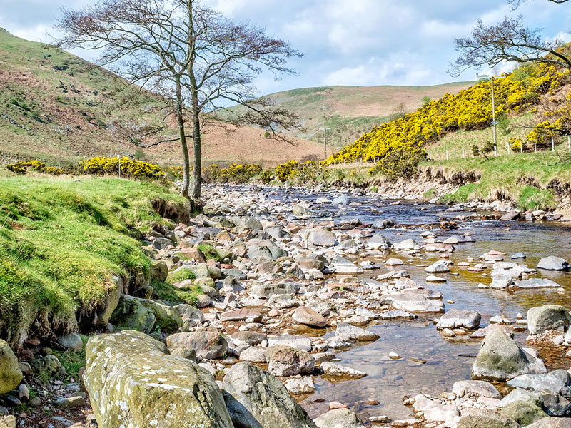 River Breamish 1