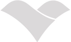 BV ICON BV ICON