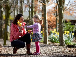 Mother Daughter in Trees 800
