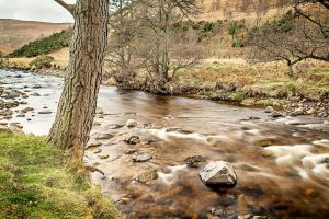 No 3 River Breamish winter