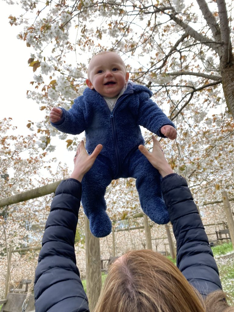 Henry in Blossom